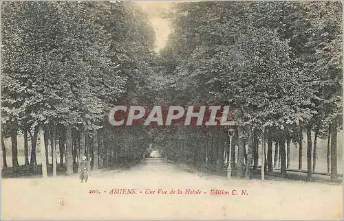 Ansichtskarte AK Amiens Une vue de la Hotoie