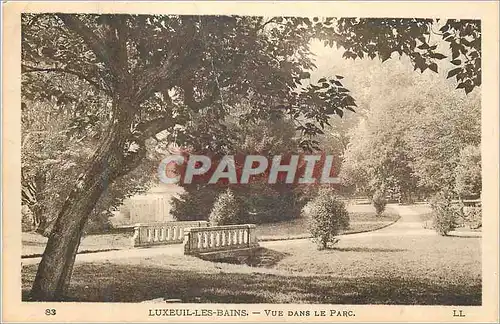 Ansichtskarte AK Luxeuil les Bains Vue dans le Parc