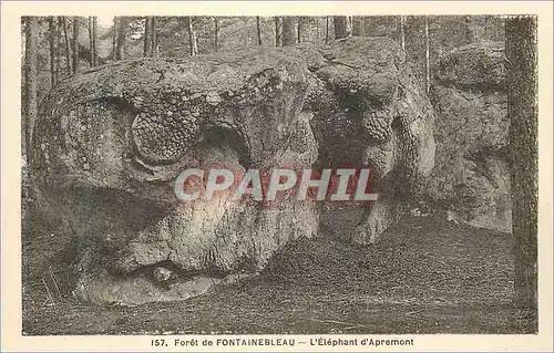 Cartes postales Foret de Fontainebleau L Elephant d Apremont