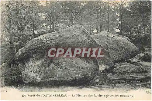 Cartes postales Foret de Fontainebleau La Pieuvre des Rochers Rochers Bouligny