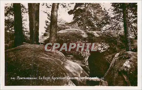 Cartes postales Fontainebleau La Foret Apremont Caverne des Brigands