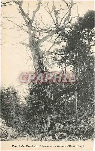 Cartes postales Foret de Fontainebleau Le Roland Mont Ussy