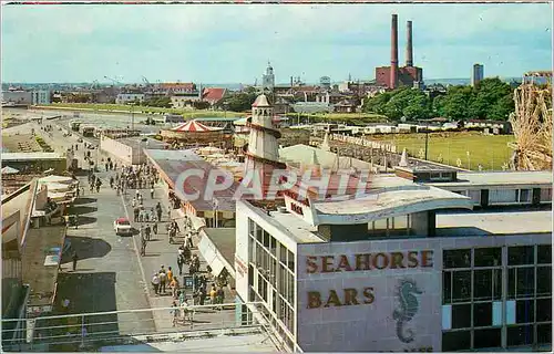 Cartes postales moderne Seahorse bars