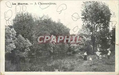 Cartes postales La Marne a chennevieres Vaches