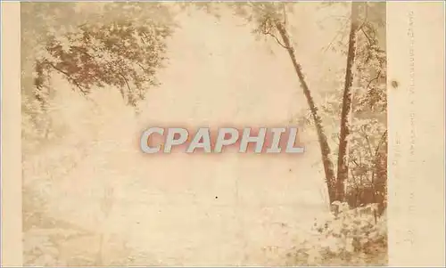 Cartes postales Salons de Paris Biva L'apres midi a Villeneuve l'etang