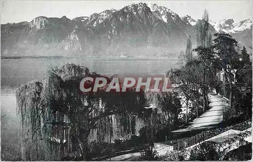 Cartes postales moderne Montreux le quai et le grammont
