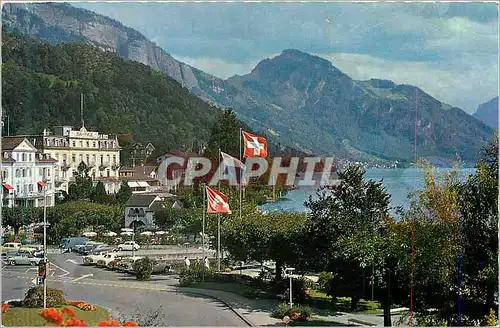 Cartes postales moderne Kurort weggis mit rigi