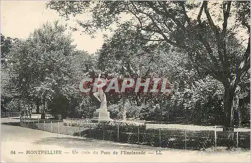 Cartes postales moderne Montpellier un coin du parc de l'esplanade