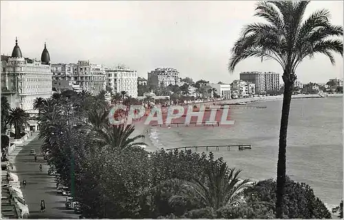 Cartes postales moderne Cannes vue generale de la croisette et les grands hotels