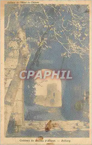 Cartes postales Chateau de jeanne d'albert Bellocq