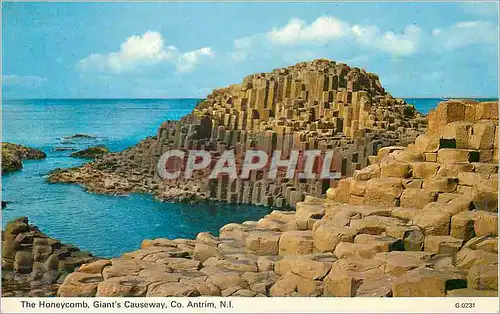 Cartes postales moderne The Honeycomb giant's causeway co antrim