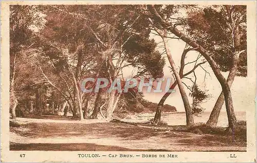 Cartes postales Toulon cap brun bords de mer