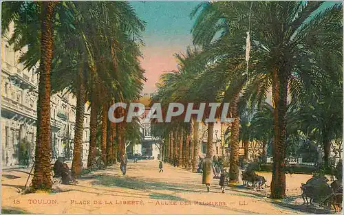 Cartes postales Toulon place de la liberte allee des palmiers