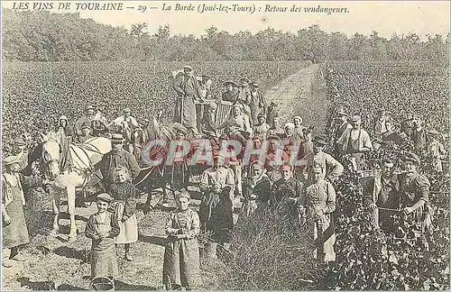 REPRO Les Vins de Touraine La Borde (Joue-lez-Tours) Retours des vendangeurs
