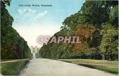 Cartes postales moderne The Long Walk Windsor