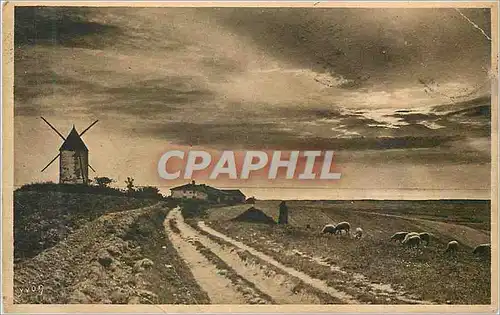 Cartes postales En Saintonge Coucher de soleil sur la Gironde vu des hauteurs de Madgeloup pres de St Fort