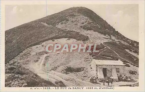 Cartes postales Le Puy de Sancy Ane Donkey