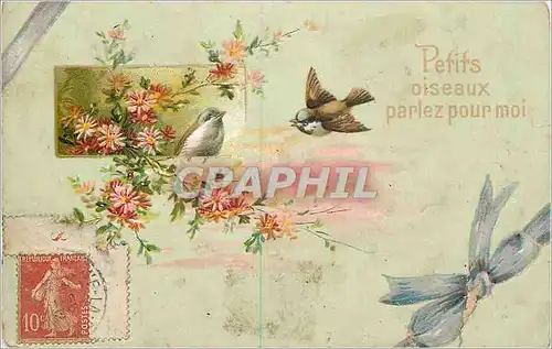 Cartes postales Petits oiseaux parlez pour moi