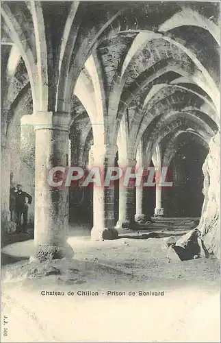 Cartes postales Chateau de Chillon Prison de Benivard