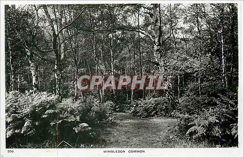Cartes postales moderne Wimbledon Common