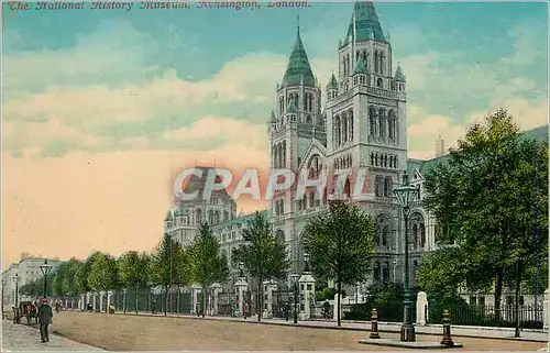 Cartes postales London The National History Museumm