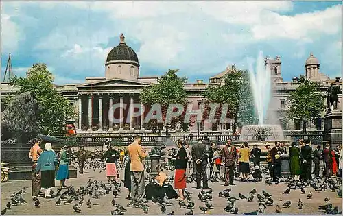 Cartes postales moderne London Trafalgar Square and National Gallery