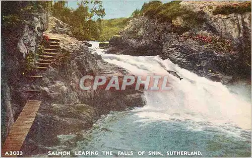 Cartes postales Salmon Leaping The Falls of Shin Sutherland