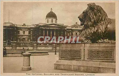 Cartes postales The National Gallery and Trafalgar Square London Lion