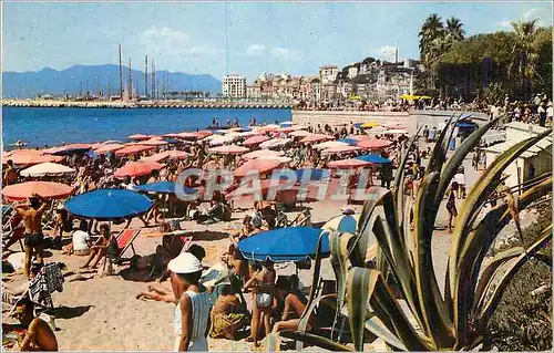 Cartes postales moderne Cannes La Plage le port et le Suquet