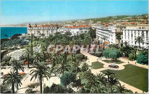 Cartes postales moderne Nice Le Jardin Albert 1er