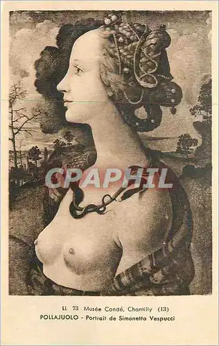 Cartes postales Pollajuolo Portrait de Simonetta Vespucci Musee Conde Chantilly