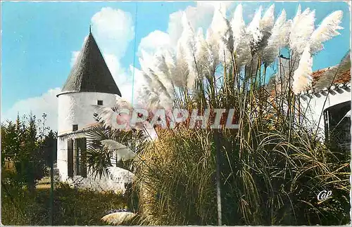 Moderne Karte Saint-Pierre-d'Oleron (Ile d'Oleron) Le Moulin du Coivre