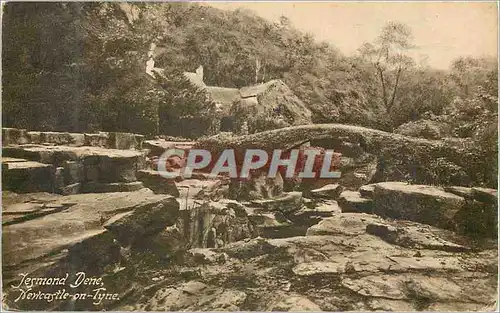 Cartes postales Jesmond Dene Newcastle-on-Tyne