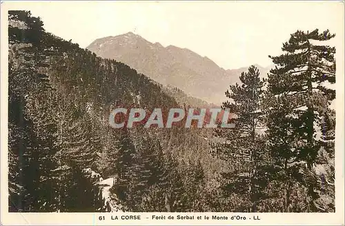 Cartes postales Corse Foret de Sorbat et le Monte d'Oro