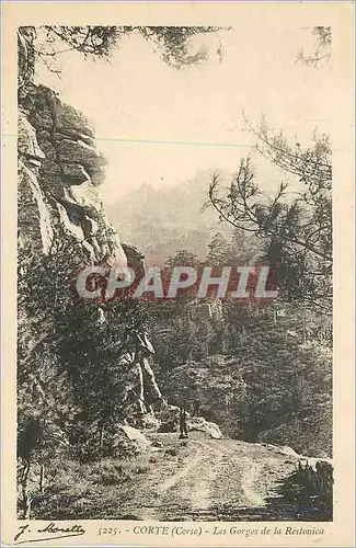 Cartes postales Corse Corte Les Gorges de la Restonica