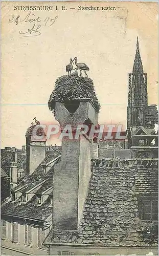 Cartes postales Strasbourg Storchennester