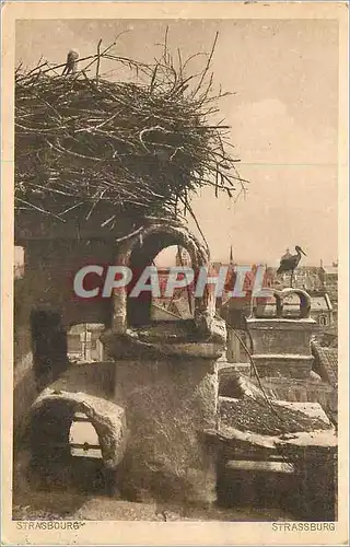 Cartes postales Strasbourg Cigognes