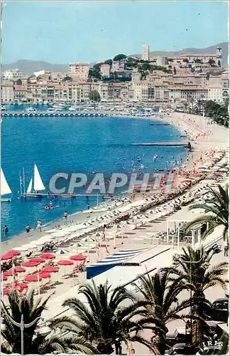 Cartes postales moderne Cannes (A M) Panorama de la Plage