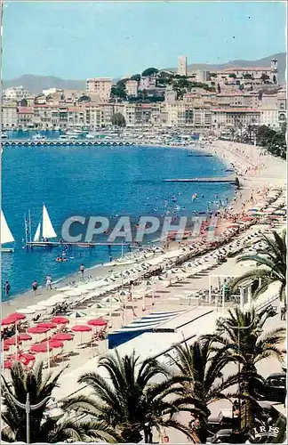 Moderne Karte Cannes (A M) Panorama de la Plage