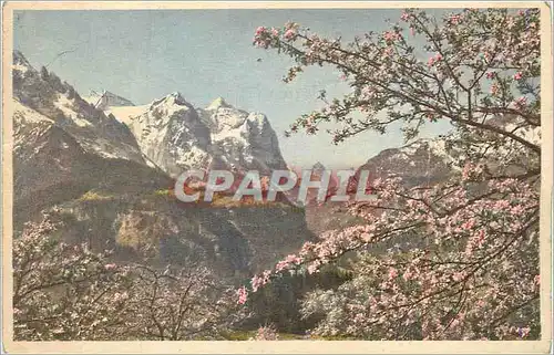 Cartes postales Wellhorn Wetterhorn Eiger