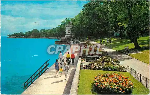 Cartes postales moderne The Gardens and Appley Tower
