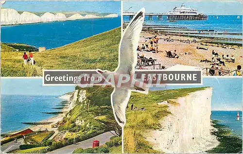 Cartes postales moderne Greetings from Eastbourne