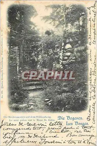 Cartes postales Les Vosges Le Mar Paien sur le Mont st Odile