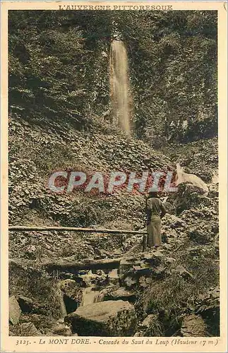 Ansichtskarte AK Le Mont Dore Cascade du Saut du Loup (Hauteur 17 m)