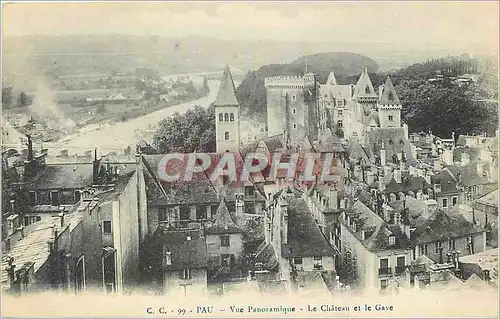 Cartes postales Pau Vue Panoramique le Chateau et Le Gave