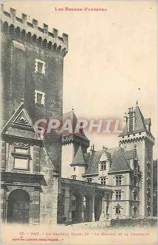 Cartes postales Les Basses Pyrenees Pau Le Chateau Henri IV