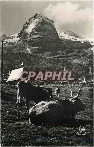 Cartes postales moderne Vallee d'Ossau (B P) Vue Partielle de la Chapelle de Gourette Le Penemadaa (2489 m) Vache