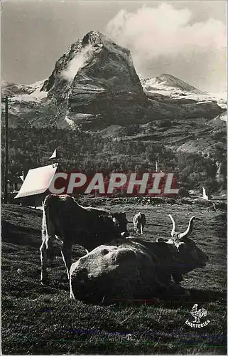 Moderne Karte Vallee d'Ossau (B P) Vue Partielle de la Chapelle de Gourette Le Penemadaa (2489 m) Vache