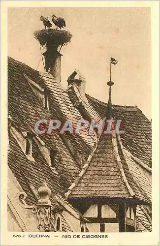 Cartes postales Obernai Nid De Cigognes