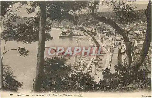 Cartes postales Nice Vue Prise entre les Pins du Chateau